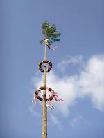 Kirchweihbaum Wendelstein